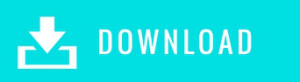 download button 2
